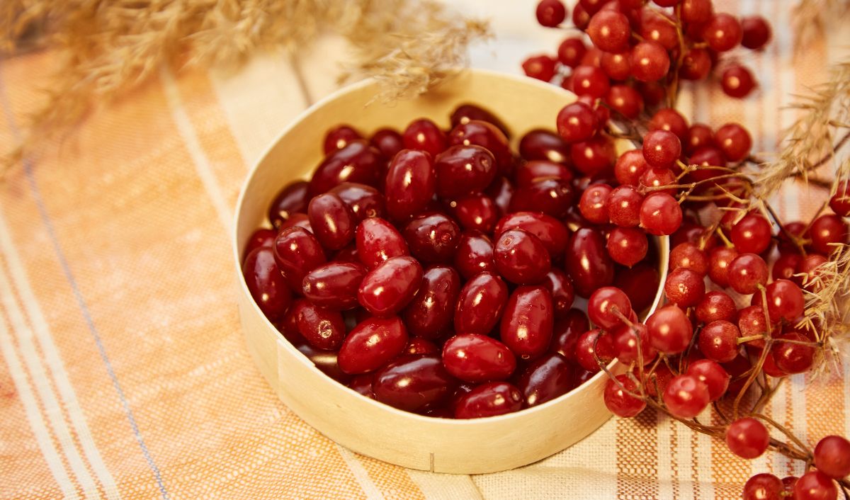 adaptogének - természet egészsége