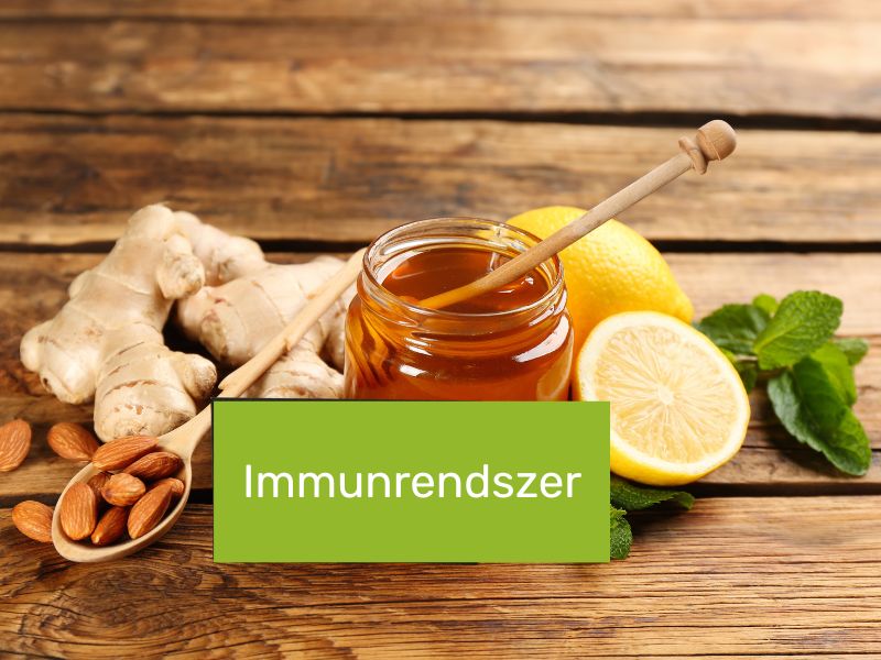 Nyirokrendszer és immunitás: miért kell rá különösen vigyázni ősszel?