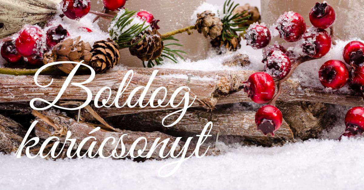 Boldog karácsonyt - természet egészsége