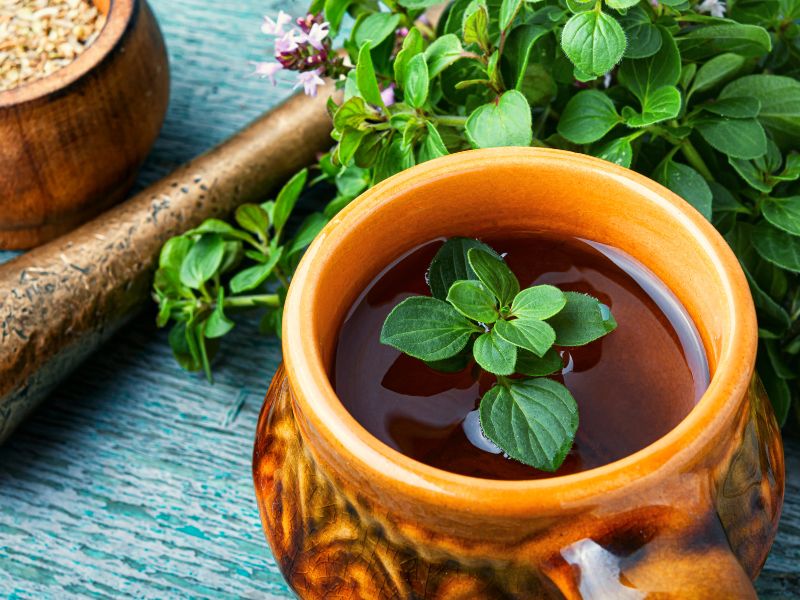 Allergia: A szervezet félreértett riadója – Egy utazás az emberi testben