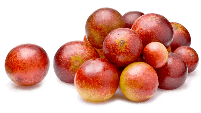 camu camu RESTART TEA