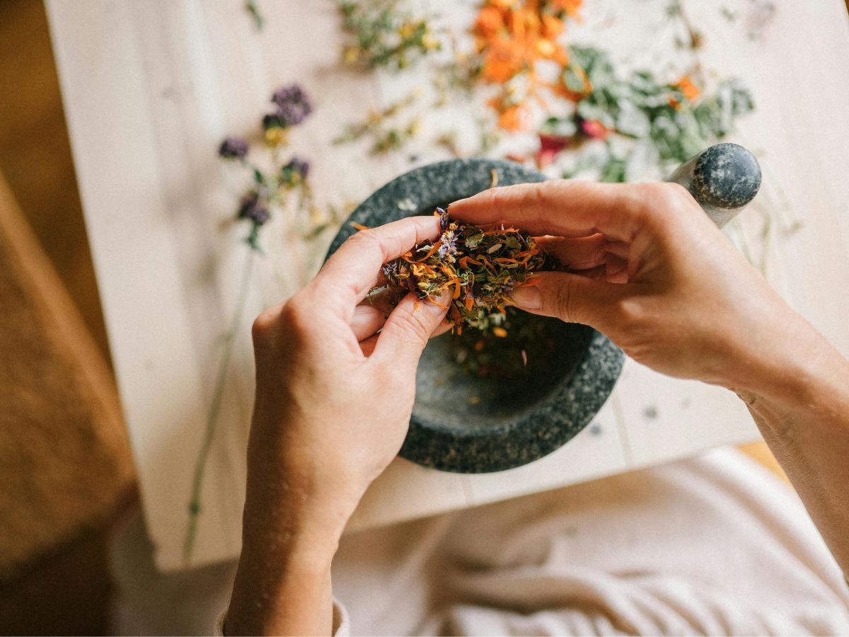 Tudod, mi a különbség a gyógyszer és a gyógynövény között? | természet egészsége