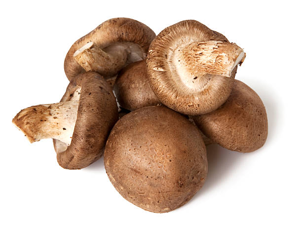 shiitake gomba