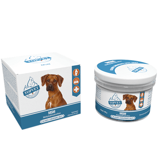MSM Kutyáknak