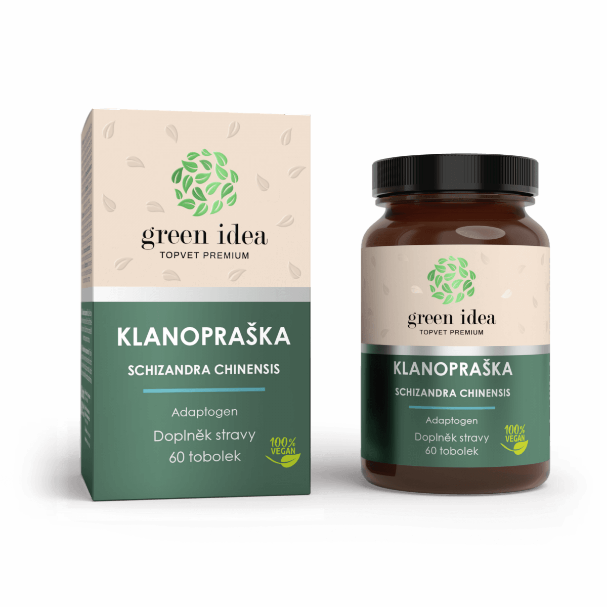 kínai kúszó magnólia schizandra