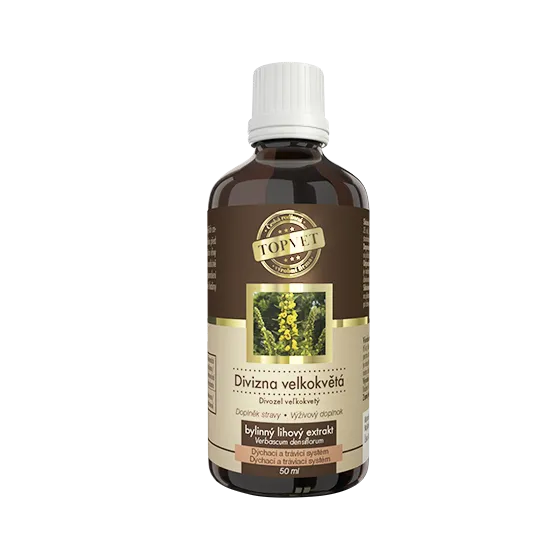 ökörfarkkóró légúti panaszoknál