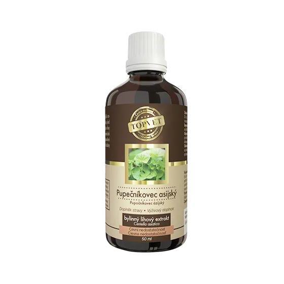 ázsiai gázló gotu kola